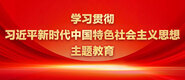 狠狠地插入嫩穴视频学习贯彻习近平新时代中国特色社会主义思想主题教育_fororder_ad-371X160(2)